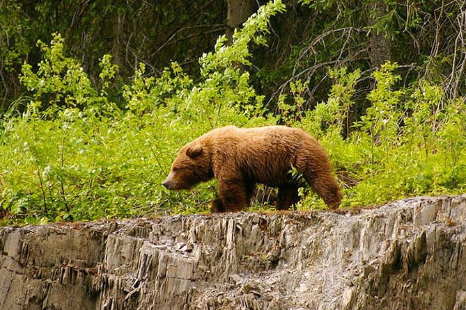 3-hour Turnagain Pass Rafting Float Trip from Hope Alaska - Why Value Matters in This Alaska Float Trip