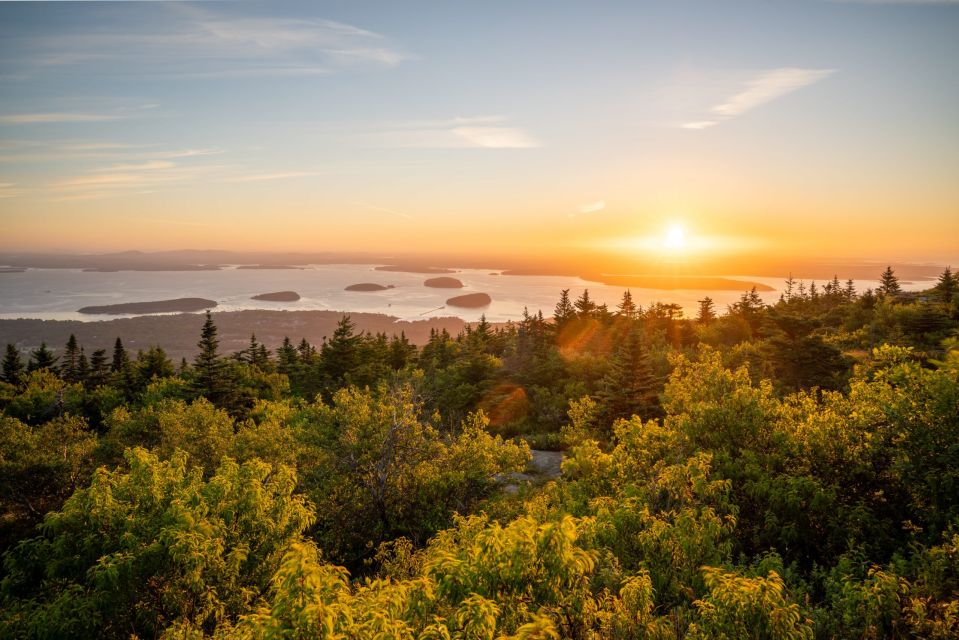 Acadia Half Day Private Bike Tour - Why Choose This Tour?