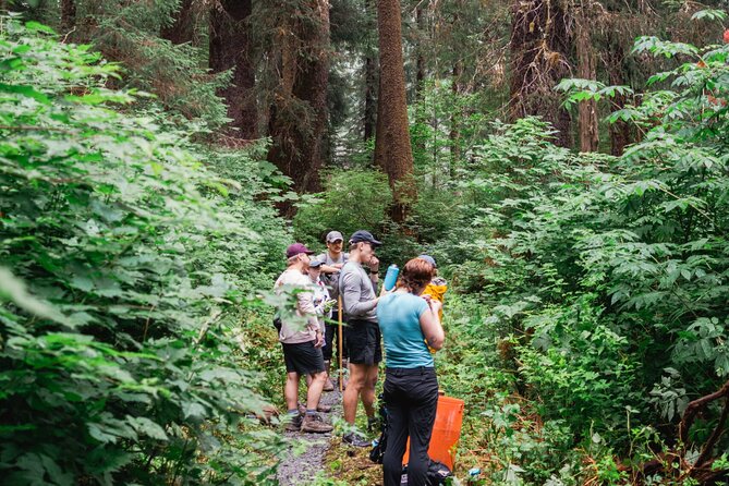 Adventure Hike | ALASKAN WILDERNESS TRAIL - Highlights of the Alaskan Wilderness Trail Adventure