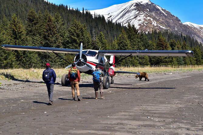 Alaska Bear Viewing Adventure from Seward - Transport and Convenience: Starting in Seward