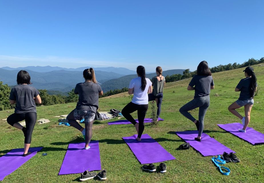 Asheville: Yoga on a Mountain Hike - Who Is This Tour Best For?