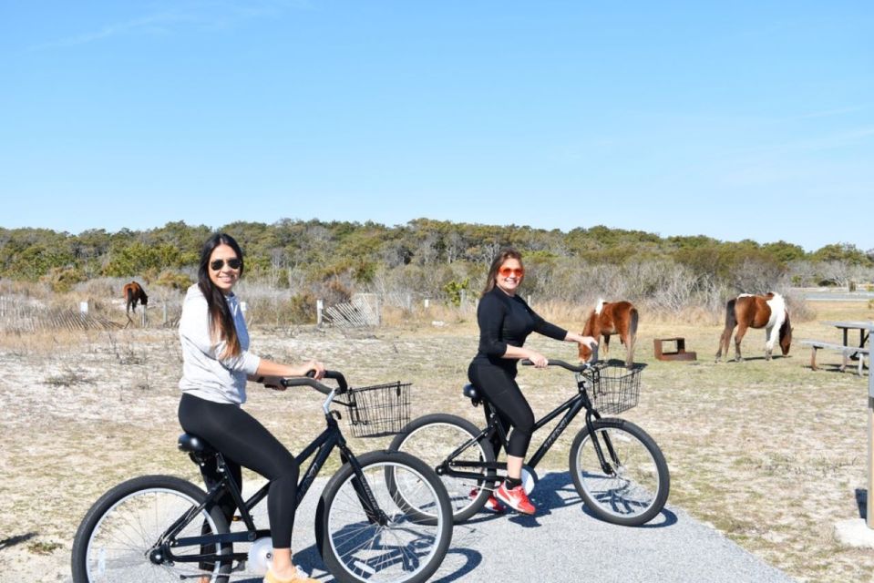 Assateague Island: Bike Rental from the Bayside Stand - Detailed Breakdown of the Experience