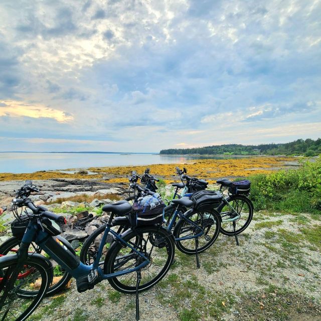 Bar Harbor: Acadia National Park Carriage Roads Ebike Tour - Why Choose This Tour?