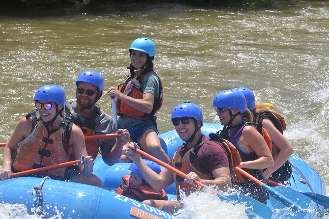 Bighorn Sheep Canyon Half-Day Rafting - What to Expect from Your Colorado River Trip