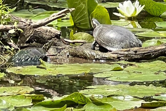 Buckhorn State Park nature hike, kayaking tour, and fishing - Insights from Real Users: What Participants Said