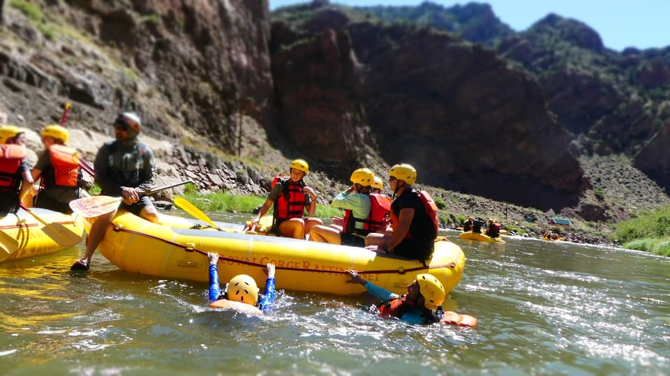 Cañon City: Royal Gorge Half-Day Whitewater Rafting - Highlights of the Royal Gorge Half-Day Rafting Trip