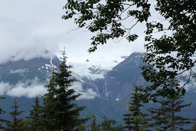 Chilkat Inlet Coastal Hike in Haines - Who Should Definitely Consider This Tour?