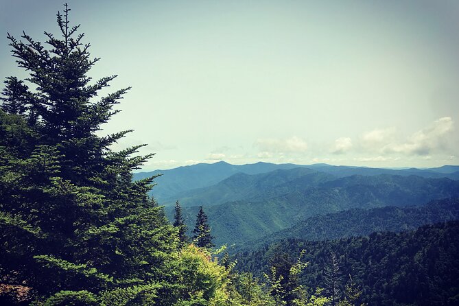 Clingmans Dome Hike - A Walk Through the Experience