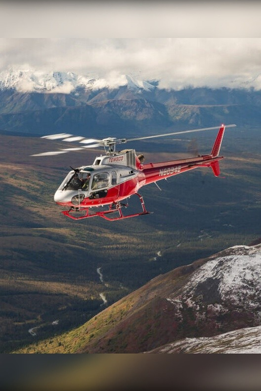 Denali National Park: Helicopter and Hike Adventure - Value and Overall Impression