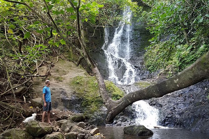 Downhill Bike and Ko'olau Waterfall Hike Tour - Highlights of the Downhill Bike and Koolau Waterfall Hike Tour