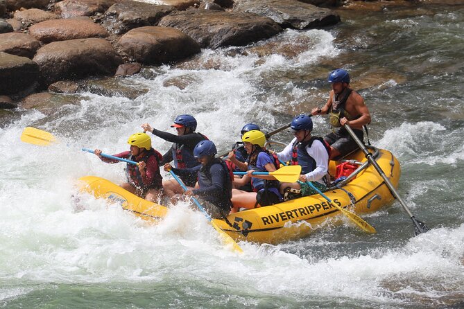 Durango "4.5 Half-Day" Rafting Trip Down the Animas River - Starting Point: Santa Rita Park and Durango Office