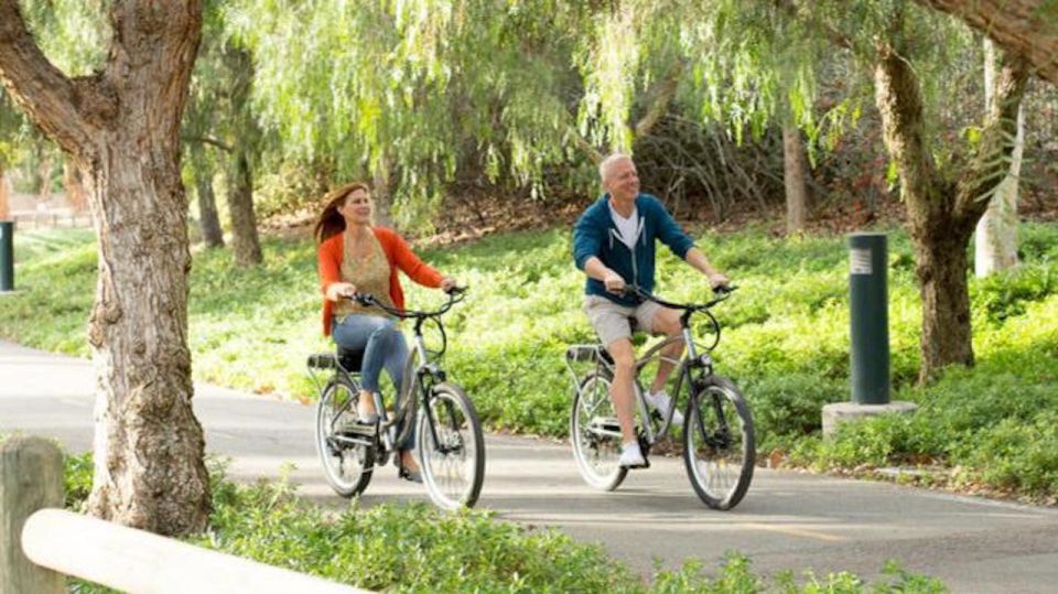 Electric Bike Rentals Leesburg, VA: Full Day or Half Day - Analyzing the Experience and Its Value