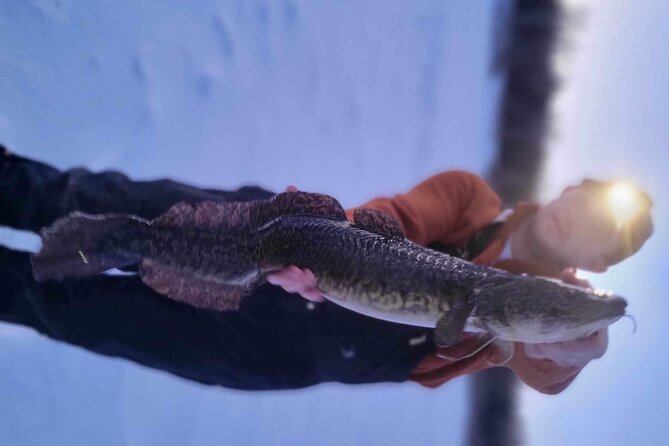 Fairbanks Ice Fishing with Transportation - The Itinerary and What to Expect