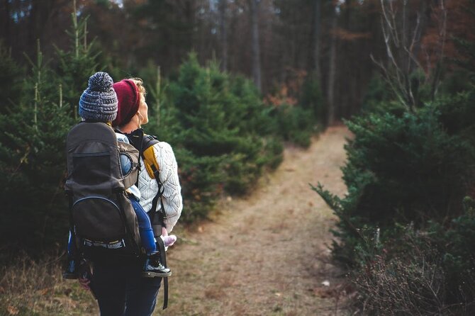 Family-Friendly Nature Hike around the Big Bear Valley - A Thoughtful Look at the Big Bear Valley Family Hike