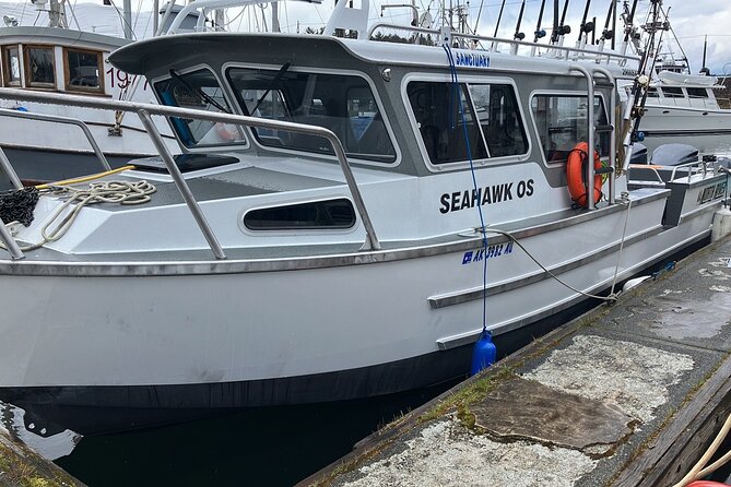 Fishing Whale Watching Hoonah Alaska - Who Is This Tour Best For?
