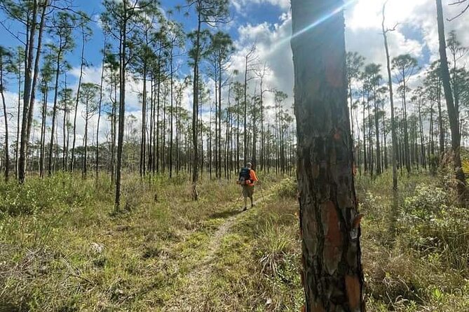 Florida Backcountry Overnight Camping Adventure - Wildlife and Natural Environments