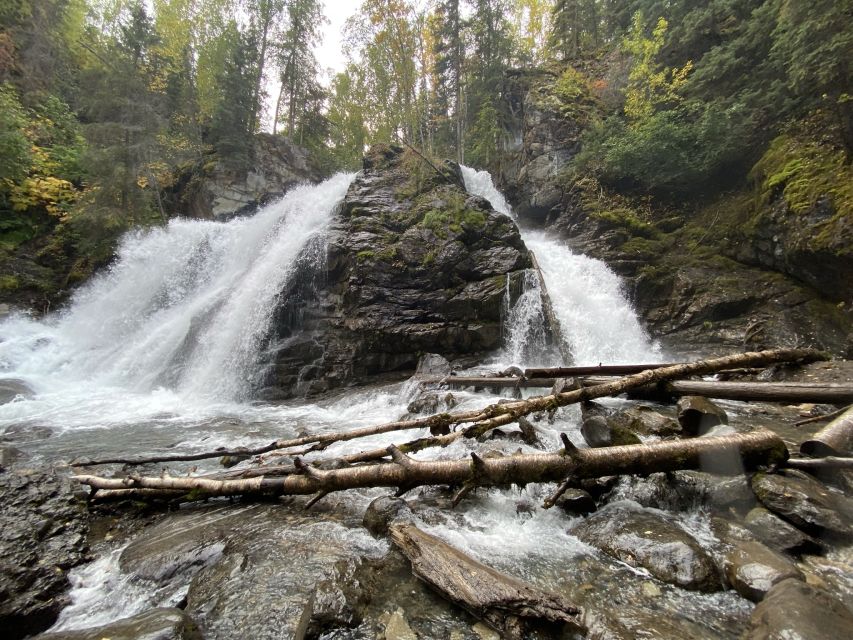 From Anchorage: Valley and Forest Hike with Naturalist Guide - The Details Behind the Hike