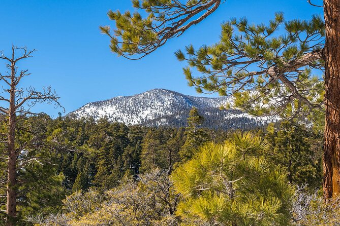 From San Diego: Two-Day Camping and Hiking Adventure in Idyllwild - Value and Practical Considerations
