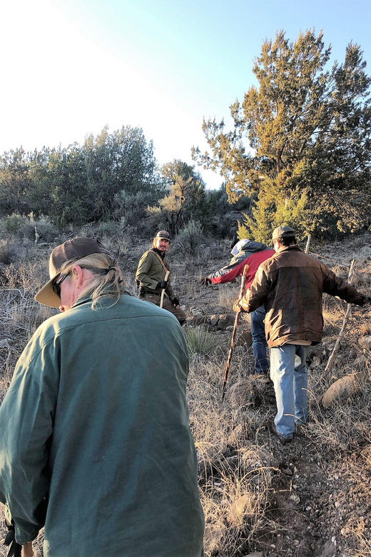 From Sedona: Archeology and Nature Hike - What to Expect from the Tour