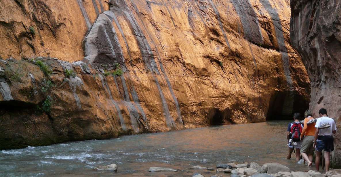 From Springdale: The Zion Narrows Hike with Lunch - Understanding the Experience
