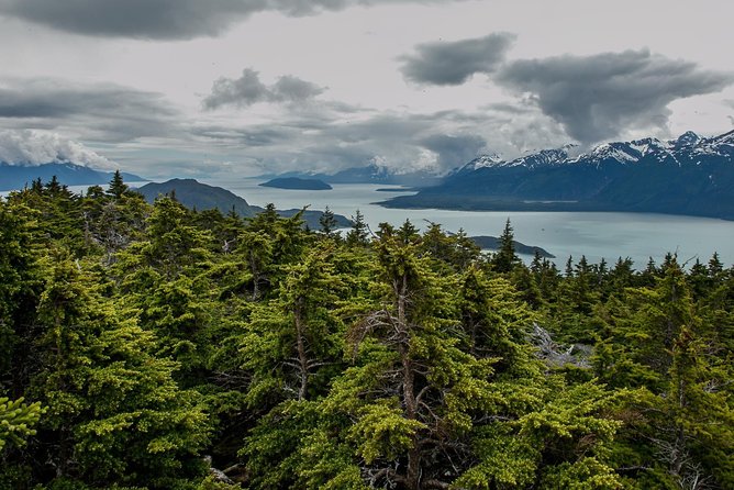 Full-Day Mount Riley Hike from Haines - In-Depth Review of the Full-Day Mount Riley Hike