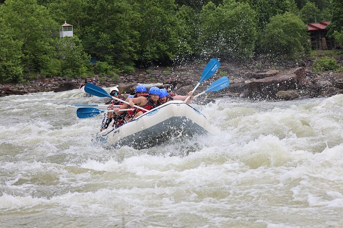 Full Ocoee River Rafting Adventure With Catered Shore Lunch - What to Expect on the Tour