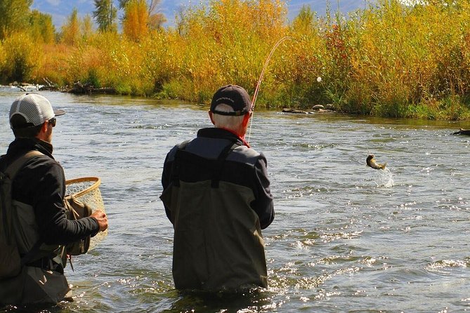 Guided Fly Fishing Experience in Park City - Highlights of the Guided Fly Fishing Tour in Park City
