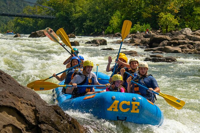 Half Day New River Gorge Whitewater Rafting - Who Is This Trip Best For?