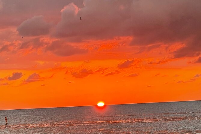 Half Day Private Fishing Trip with Site Seeing Around Anna Maria Island - What Travelers Say About This Tour