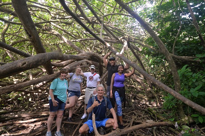 Hawaiian Waterfall Hike - Highlights of the Hawaiian Waterfall Hike