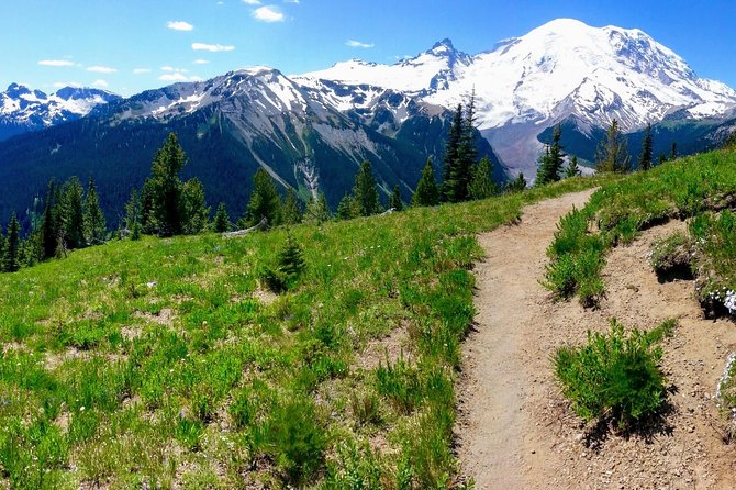 Hike Mt. Rainier & Taste Yakima Valley Wine: All-Inclusive Day Tour from Seattle - A Day Fully Packed with Natural Beauty and Flavor