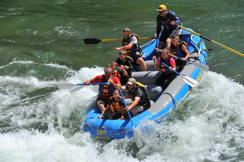 Jackson: 4-Hour Small Boat Snake River Whitewater Rafting - Why You Might Choose This Rafting Tour