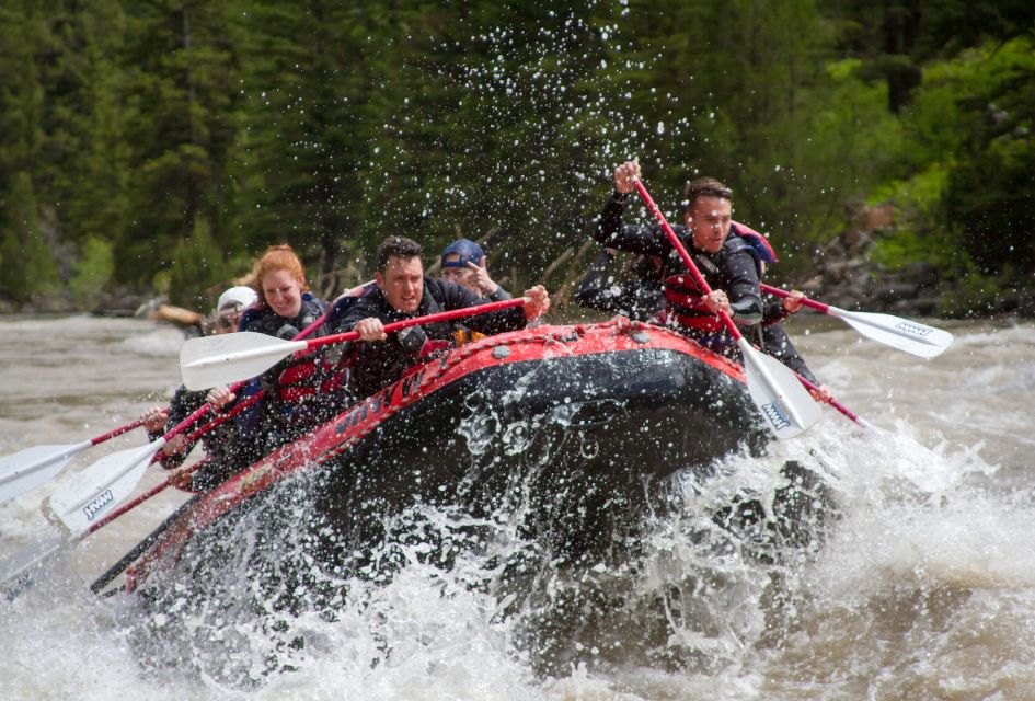 Jackson: Snake River Class 2-3 Whitewater Rafting Adventure - Launch and Paddling Experience