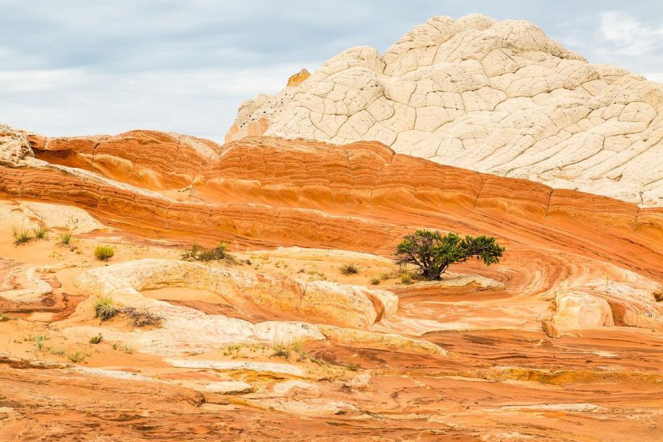 Kanab: White Pocket Tour & Hike - A Deep Dive: What to Expect from the Tour