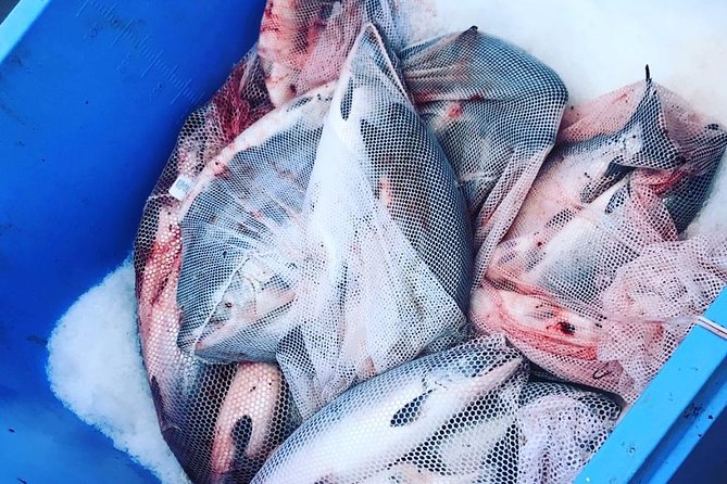 Ketchikan Fishing Charter - Deep Dive into the Itinerary