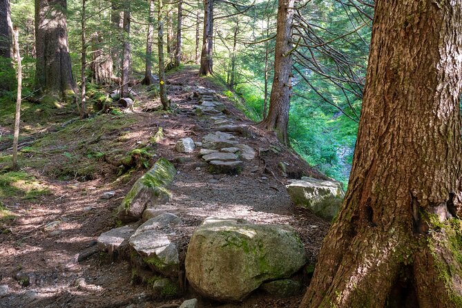 Ketchikan Mountain Lake Trek to Avalanche Chute - Highlights