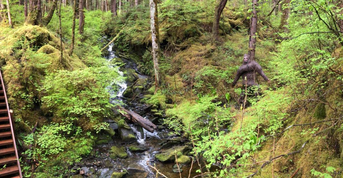 Ketchikan: Tongass Forest Alaska Bigfoot ATV Ride and Hike - Analyzing the Value of the Tour