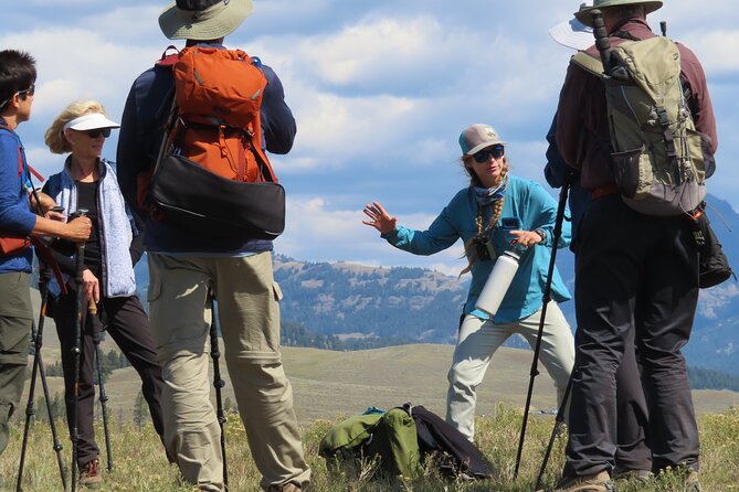 Lamar Valley Safari Hiking Tour with Lunch - The Itinerary: Carefully Crafted for Authentic Encounters