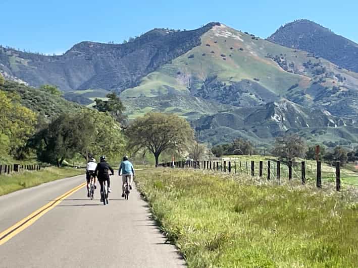 Los Olivos: E-Bike Tour + Vineyard Lunch w/Wine Tasting - Who Is This Tour Best For?