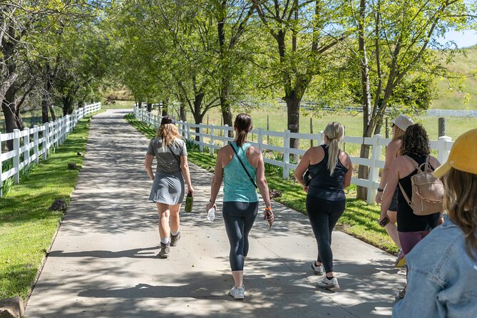 Malibu: Guided Vineyard Hike with Photo Stops and Wine - What the Reviews Say About the Tour