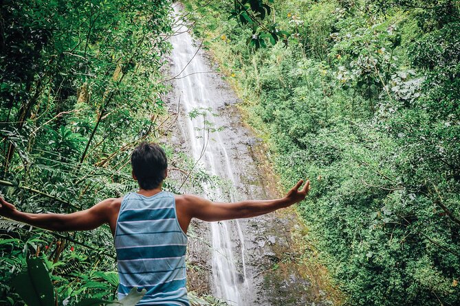 Manoa Waterfall Hike From Waikiki With Healthy Lunch Included - Structuring the Itinerary
