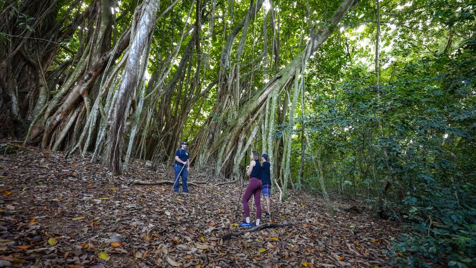 Maui: Honolua Ridgeline Informational Hike - Introduction