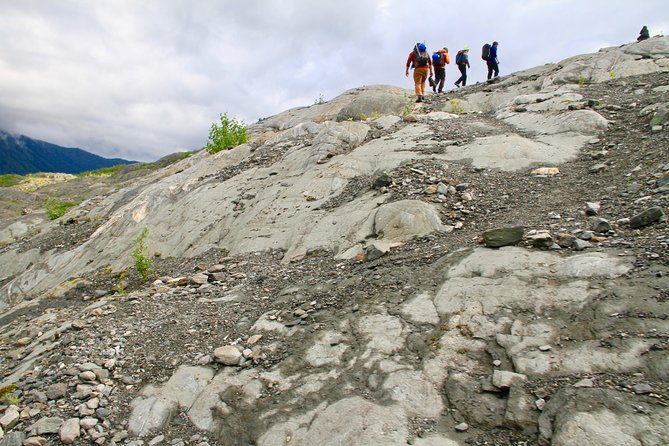 Mendenhall Glacier Guided Hike Juneau - Highlights of the Mendenhall Glacier Guided Hike