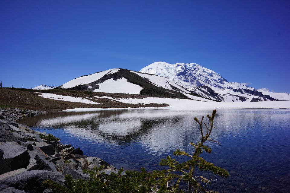 Mount Rainier: Day Hike on the Mountain - A Closer Look at What to Expect