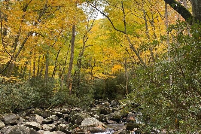 Mountaineer's Way Hike in the Smokies - An In-Depth Look at What You Can Expect