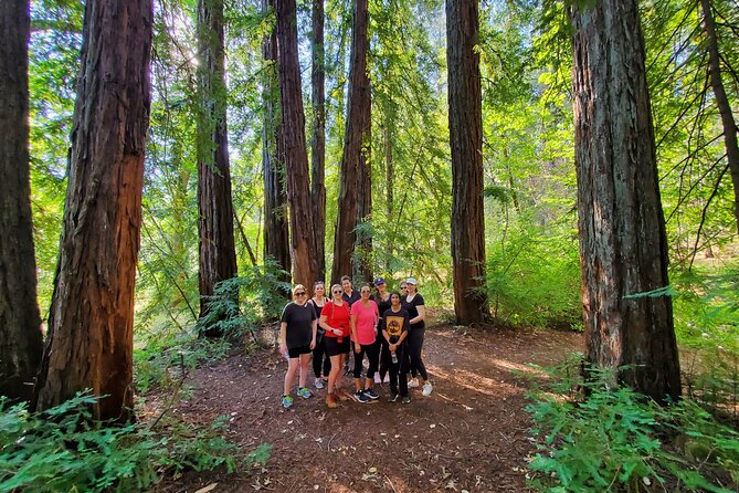 Napa Valley Redwood Hike - The Journey Through the Forests: What You’ll Actually Experience