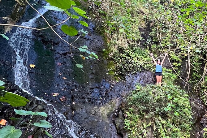 Nature Hike to Waterfall - The Itinerary: A Closer Look