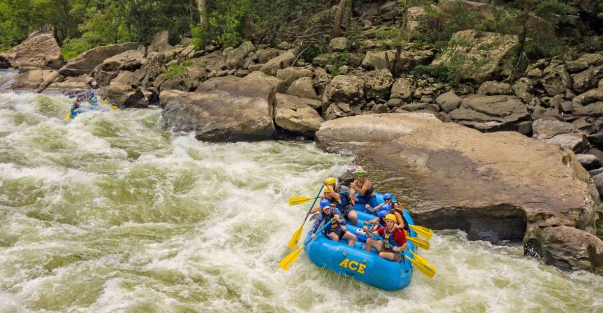 New River Gorge Whitewater Rafting - Lower New Full Day - Starting Point & Transportation
