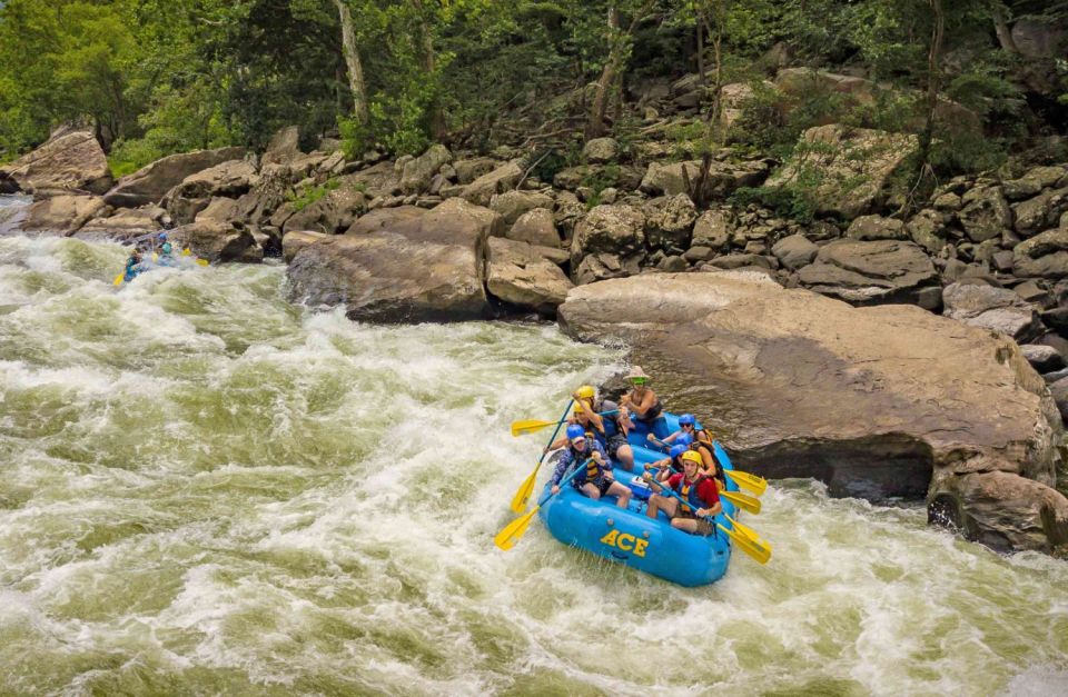 New River Gorge Whitewater Rafting - Lower New Half Day - The Guides: Unsung Heroes