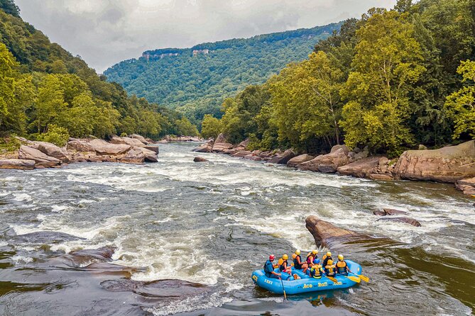 New River Gorge Whitewater Rafting, WV - Lower New Full Day - The Itinerary: What You’ll Experience